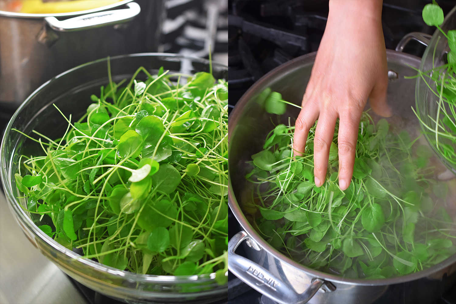 Watercress & Chicken Soup by Michelle Tam http://nomnompaleo.com