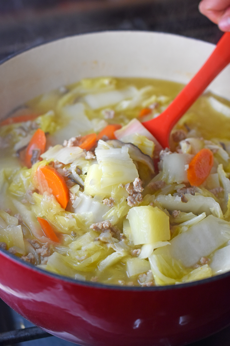 simple chinese cabbage chicken soup recipe